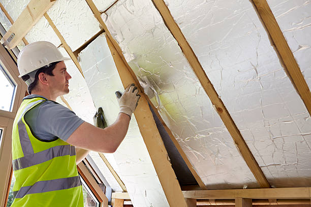 Best Fiberglass Insulation in Pearl City, HI