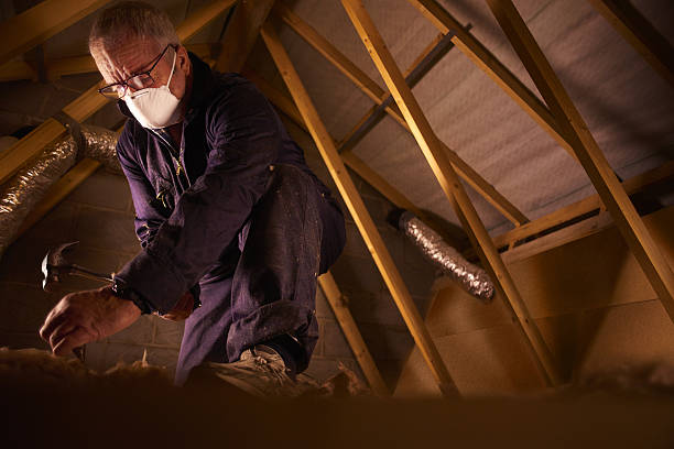 Types of Insulation We Offer in Pearl City, HI